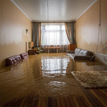 Dallas Water Damage Restoration